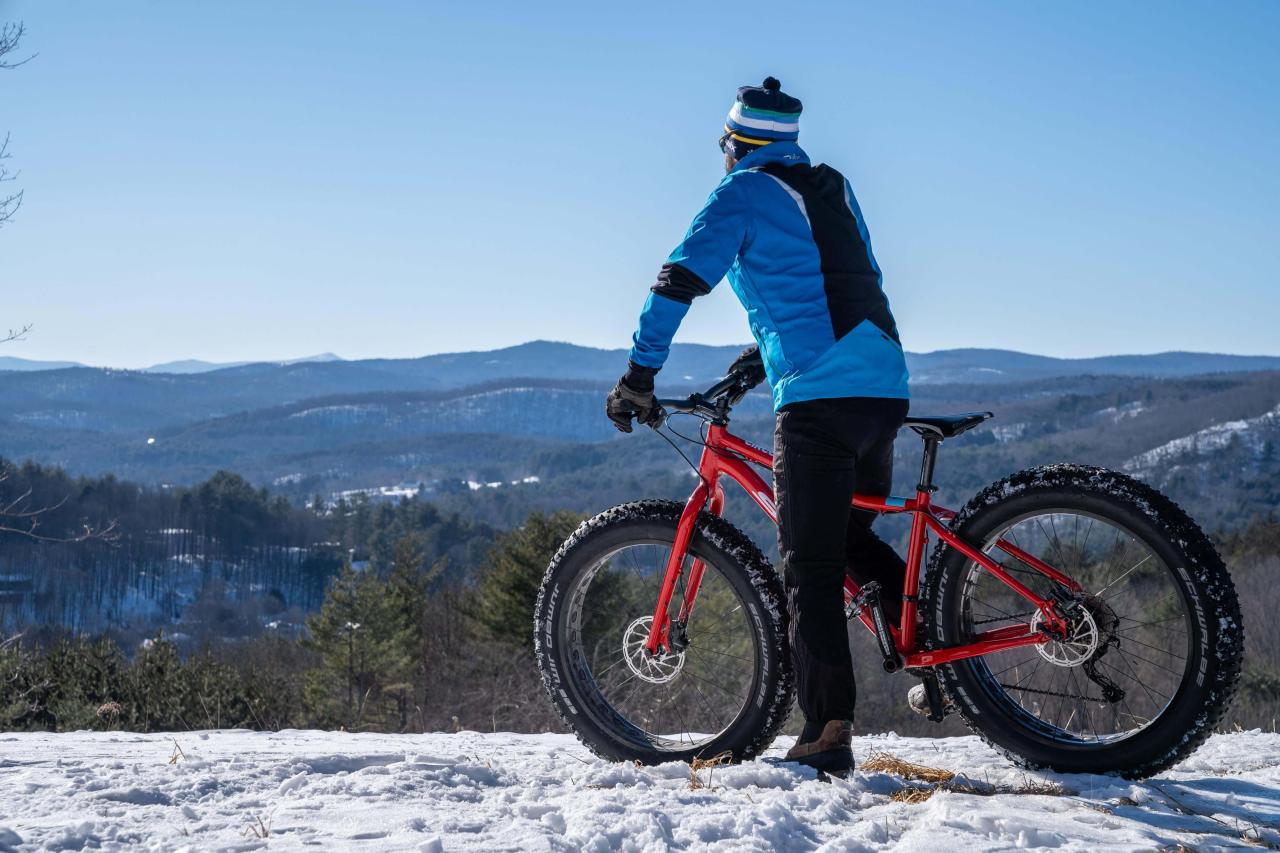 fat mountain biker