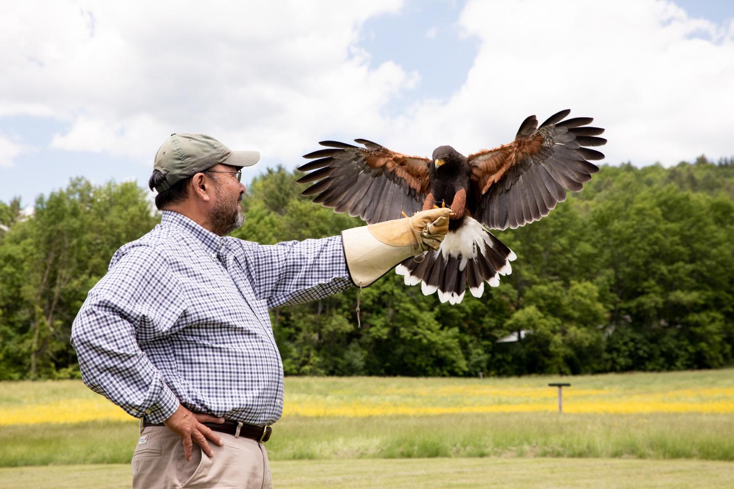 Falconry | The Woodstock Inn and Resort
