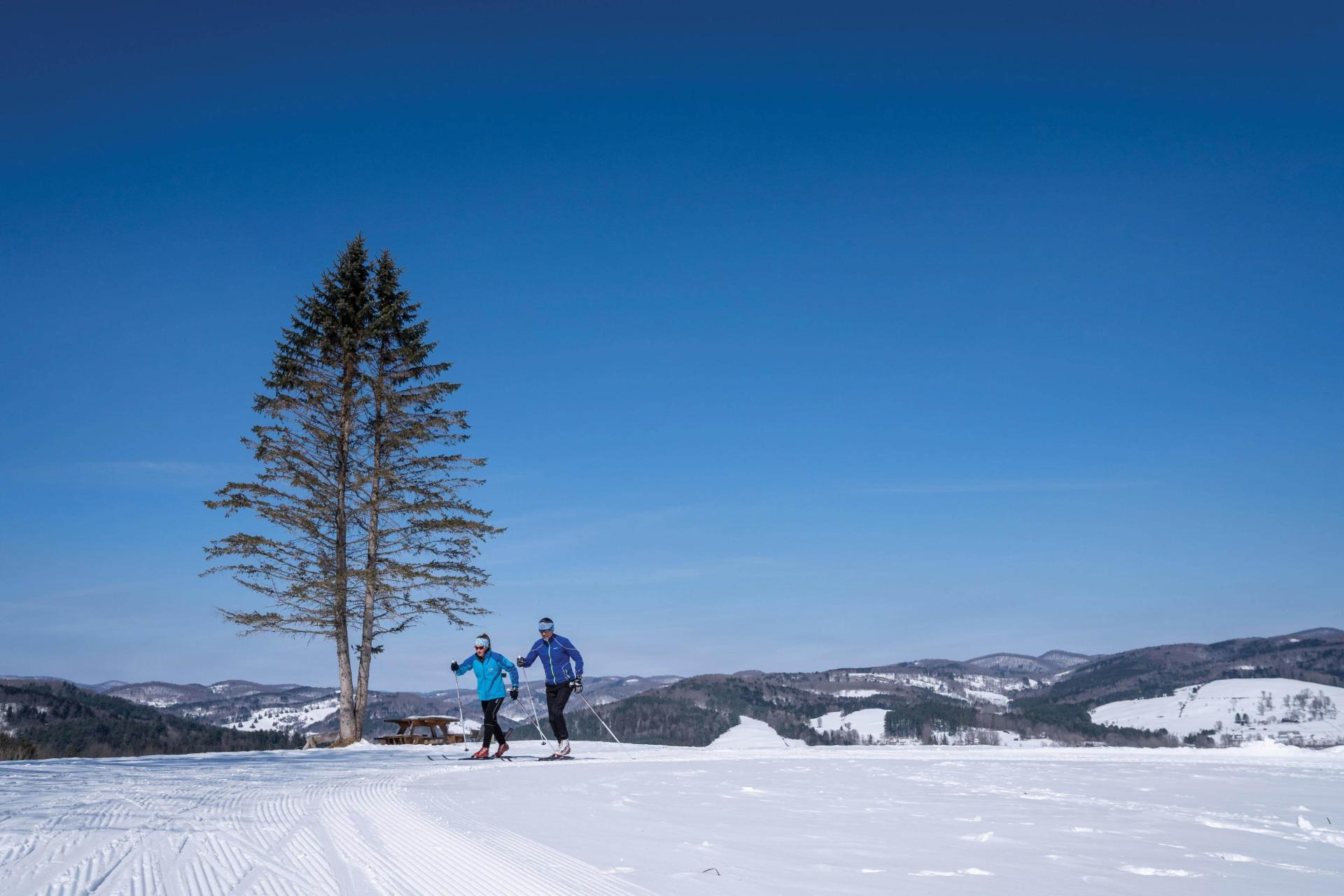 Sweetheart Nordic Ski Race The Woodstock Inn And Resort